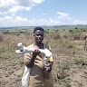 Stephen Ssemwaka