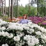 Vineta Berzina