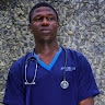 Idowu Ariyibi
