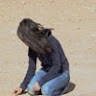 Naz Shahrokh