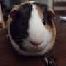 Eunice  