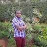 josphat mumo