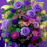 Алла Сліпко