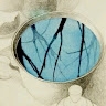 Silvija Indriksone