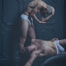 Gierre J Godley