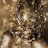 ZZ GALLERY
