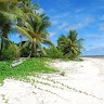 Jiuwa Ligairi