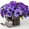 hatice sungun