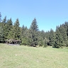 Ion Bevziuc