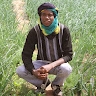 Hassan DIALLO