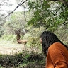 Joyce Njoki