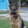 Kostas Saridakis