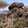 billy Kiplagat