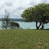 Paulo Jose