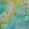 Martha Colburn
