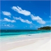 Teague Travel