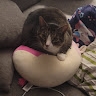 Sweetie  