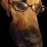 Jeffrey D