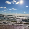 srihan moola