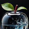 Agro centric