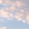 M G
