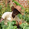 ssemayengo joseph
