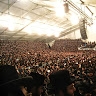 דוד לרנר
