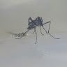 호종 전