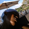 Faith Ndolo