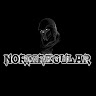 Norm Regular