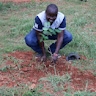 Julius Kamoni