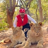 albert ngulube