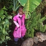 mwendwa henry