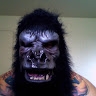 OG SilverBack