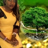 n jeri
