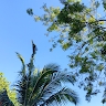 Maghreb Kilifi