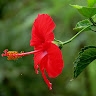 Vasantha priya.s