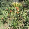 Saidi Morestaff Mpota
