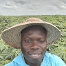 Ayobami KEHINDE