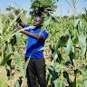 Collins Musyoka