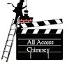 All Access Chimney & Fireplace Inc