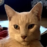 Philip Leaning