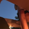 Penelope N