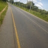 Moses nyoni