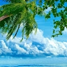 Ahmed M