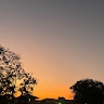 Mukanzala Kasimbo