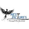 nest pictures