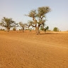 Boukary BARRY