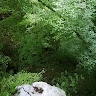 Tadej Petric