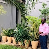 AKINYEDE ADEDOYIN